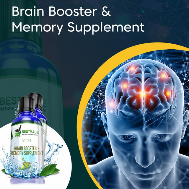 Naturally Boosts Brain Function - Improves Focus & Memory - Provides Clarity of Thought - Supports Learning a Perfect Supplement for Exam Time - Reduces Related Stress - Caffeine Free