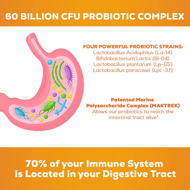 Probiotic for Digestive Health - 60 Billion CFU Daily Probiotics & Prebiotics Supplement with Acidophilus - Immune Support for Women & Men - Shelf Stable, Soy, Dairy & Gluten Free - 60 Capsules