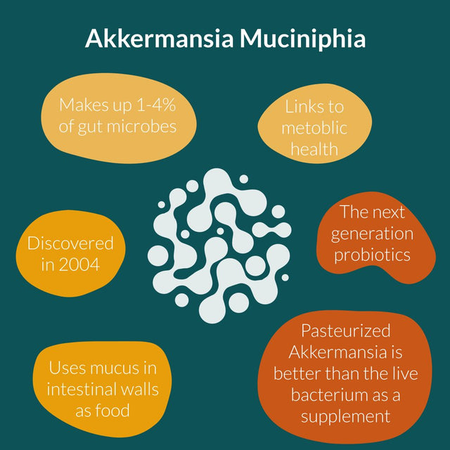 Akkermansia Muciniphila Probiotics for Digestive Health - 5 Billion TFU Akkermansia Probiotic for Leaky Gut Repair, GLP-1 and Immunity, Prebiotics and Probiotics for Women and Men, 60 Vegan Capsules