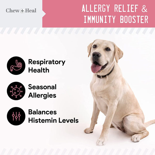 Chew + Heal Dog Allergy Itch Relief Vitamin (90 Soft Chews) Immune System Supplements