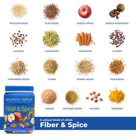 Balance of Nature Fiber & Spice - Psyllium Husk, Flax Seed, Turmeric & Apple - Spiced Cider Powdered Drink Mix - 30 Servings