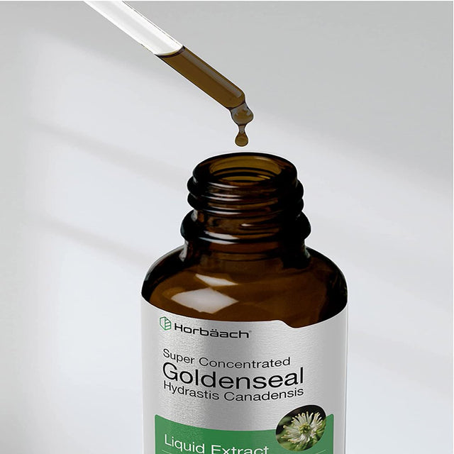 Goldenseal Root Liquid Extract | 1 Oz | Vegetarian & Alcohol Free | by Horbaach