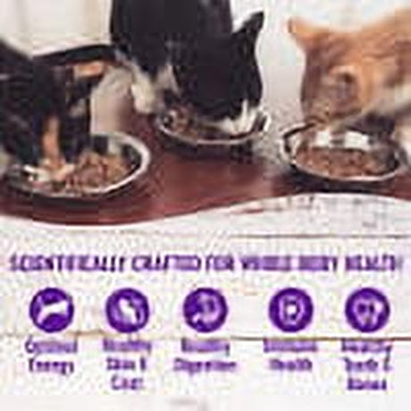 Wellness Complete Health Wet Canned Cat Food, Sliced Salmon Entree, 5.5Oz Can (Pack of 24)