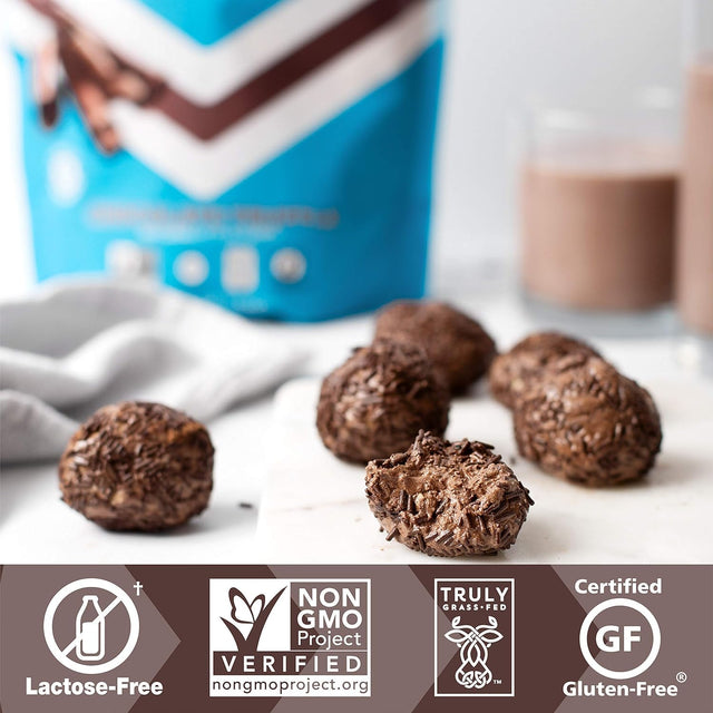 ICONIC Chocolate Lover'S Bundle | 12 Low Carb Protein Shakes + 1 Lb. (17 Servings) Low Carb Protein Powder | Zero Sugar, 20G Protein, 4G Net Carbs | Lactose Free, Gluten Free, Soy Free | Keto Friendly