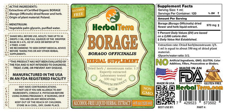 Borage (Borago Officinalis) Glycerite, Organic Dried Flowers and Herb Alcohol-Free Liquid Extract (Herbal Terra, USA) 2 Oz