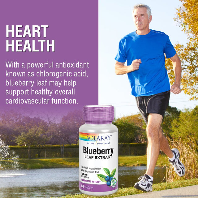 Solaray Blueberry Leaf Extract 100 Mg | Healthy Cardiovascular & Blood Sugar Balance Support | 60 Vegcaps