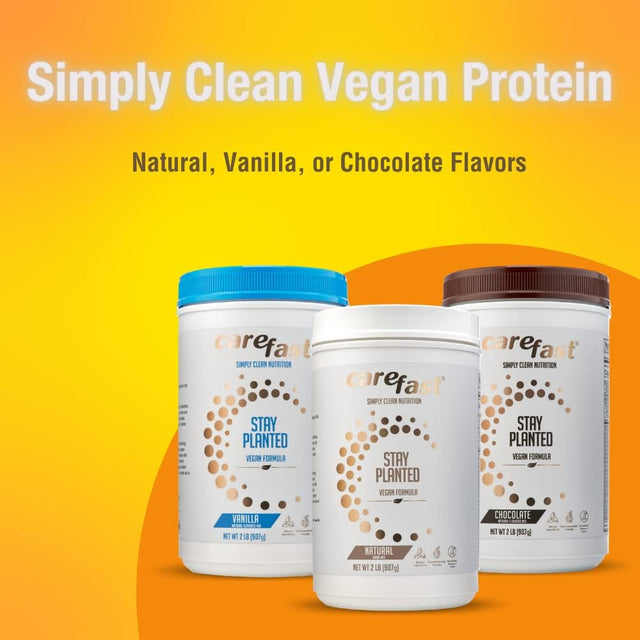 Stay Planted Plant-Basednon-Gmo Soy Healthy Protein Powder Drink Mix - Chocolate Flavored - 2Lb Tub - 13G Protein - Makes Great Tasting Low Carb Vegan Shakes & Smoothies