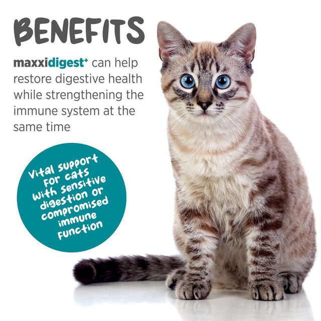 Maxxidigest+ Digestive and Immune Supplement for Cats by Maxxipaws - Powder 7 Oz