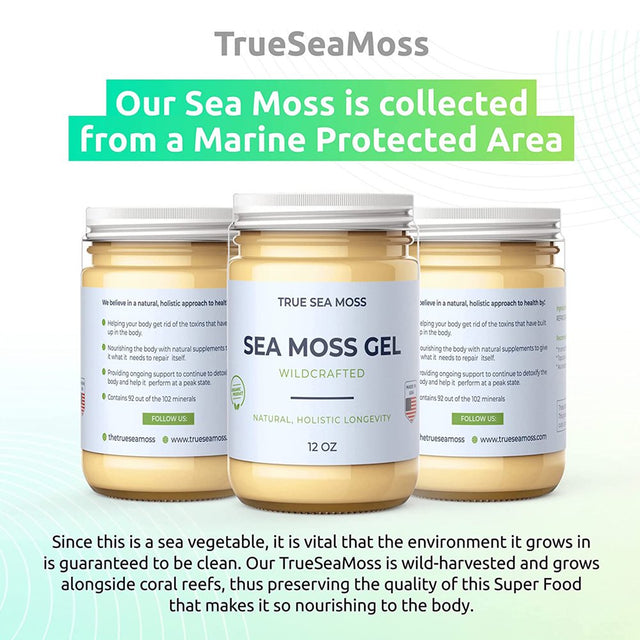 Trueseamoss Wildcrafted Irish Sea Moss Gel Raw Sea Moss Supplement, Original 12 Oz 5-Pack