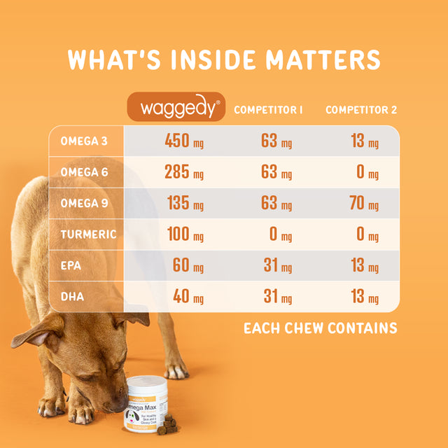 Waggedy Max Omega Chews for Dogs W/ Turmeric & Fish Oil, Supports Immune System (60 Chews)