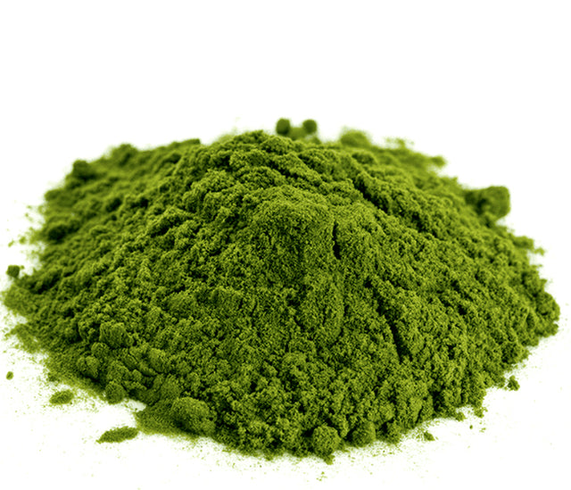 Chlorella - Taxonomy - Chlorella Vulgaris (Green Alga)