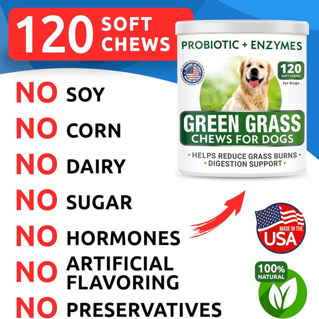 All-Natural Grass Treatment for Dog Urine - Grass Saver for Dogs - Pee Lawn Repair Chews W Probiotics - Dog Urine Neutralizer Solution for Grass Burn Spots - Made in USA - 120 Treats