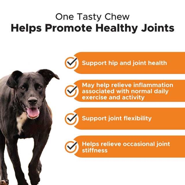 Pet Honesty Dog, Hip & Joint Health Support Tumeric Supplement W Spirulina Omega 3S and Black Pepper, Pumpkin & Coconut Flavor, 90 Count Soft Chews