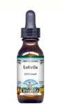 Terravita Lobelia Glycerite Liquid Extract (1:5) - Mint Flavored, (Mint, 1 Oz, 1-Pack, Zin: 517051)