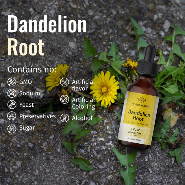 HERBAMAMA Dandelion Root Liquid Extract 2 Fl Oz- Organic Tincture for Immune Support