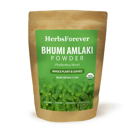 Herbsforever Bhumiamalaki Powder – Phyllanthus Niruri – Immunity Enhancer – Support Kidney, Liver and Gall Bladder Health – Non GMO, Organic, Vegan – 230 GMS