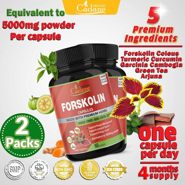 2 Packs Organic Forskolin Supplements Capsules 5000Mg with Turmeric, Arjuna, Garcinia Cambogia, Green Tea - Maximum Strength Coleus Forskohlii Extract - Support Energy Production & Immune System