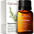 Gya Labs Organic Rosemary Oil for Hair & Scalp - Organic Rosemary Essential Oil for Skin & Diffuser - Steam Distilled Rosemary Oil for Hair Organic (0.34 Fl Oz)