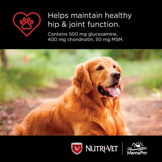 Nutri-Vet Hip and Joint Chewables for Dogs, Advanced Strength, 300 Count