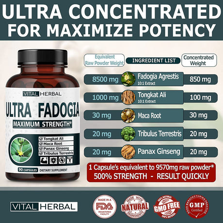 Ultra Fadogia Agrestis 10:1 Extract with Tongkat Ali Capsules - Equivalent to 9570 Mg - Maximum Strength with Ginseng Maca Root Tribulus - Boost Energy Muscle Buider (90 Count (Pack of 1))