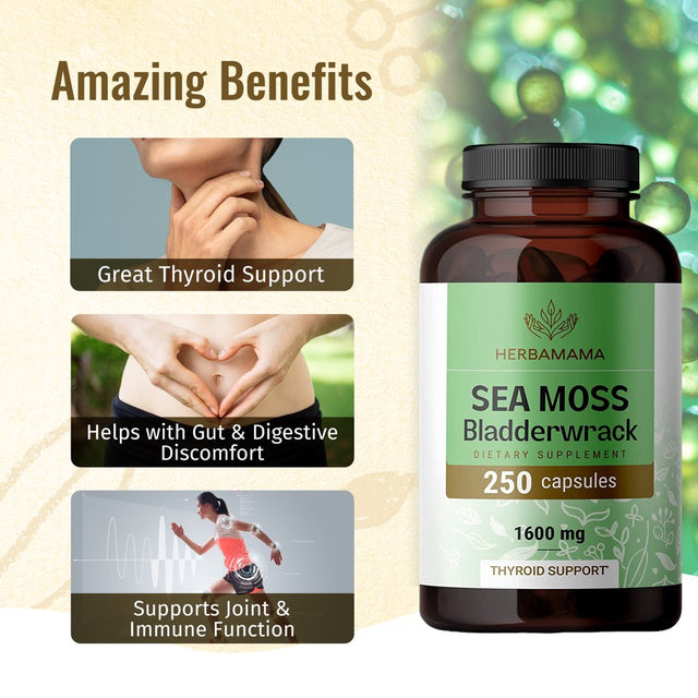 HERBAMAMA Sea Moss & Bladderwrack Capsules - Thyroid Support, Immune & Gut Health 250 Caps