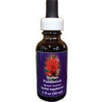 Indian Paintbrush Herbal Supplement Dropper by Flower Essence - 1 Oz