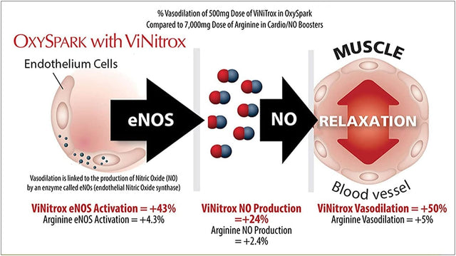 Oxyspark with Vinitrox - Nitric Oxide Supplement for Blood Pressure Support, Heart Health, Energy Boost, Circulation, and More (30 Servings)