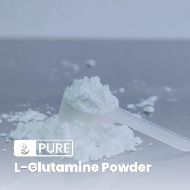 Pure Original Ingredients L-Glutamine (1Lb) Alpha-Amino Acid Supplement Powder, Lab-Verified