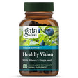 Gaia Herbs Healthy Vision -- 60 Liquid Phyto Caps