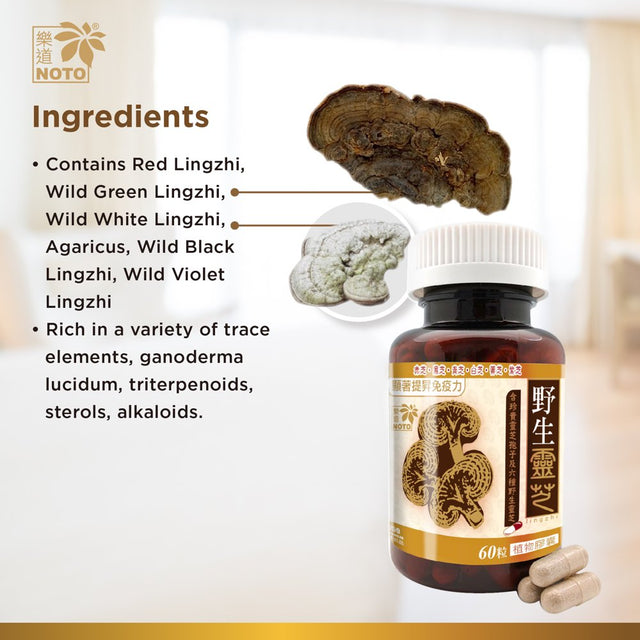 NOTO Lingzhi 60 Capsules for Significantly Boosts Immunity