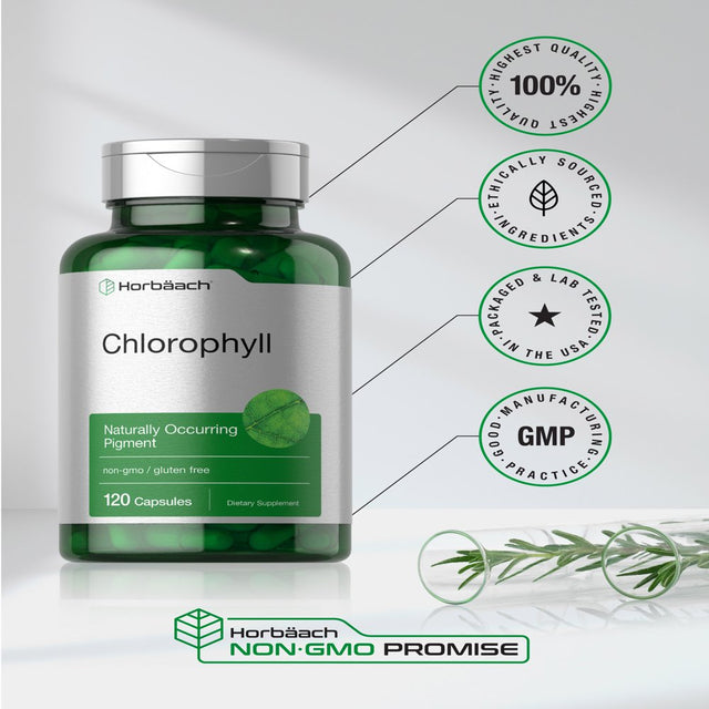 Chlorophyll Capsules | 120 Count | Naturally-Occurring Pigment | by Horbaach