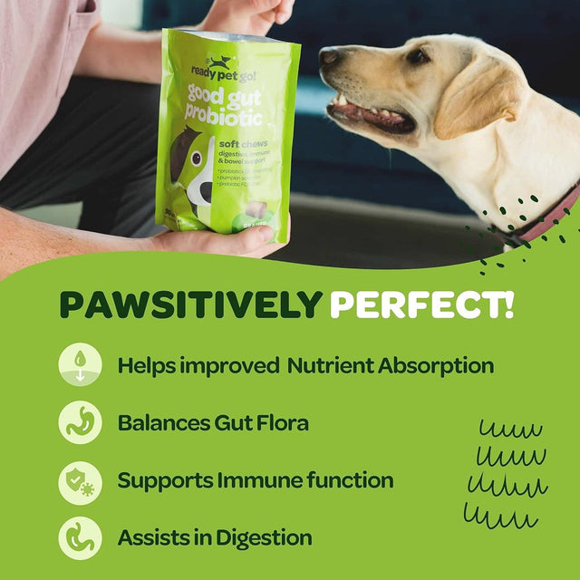 Ready Pet Go! Good Gut Probiotic | Tummy Treats for Dogs | Digestive and Immune Support | Dog Vitamins for Gut Health | Dog Probiotics for Diarrhea and Gas Relief | 90 Chews