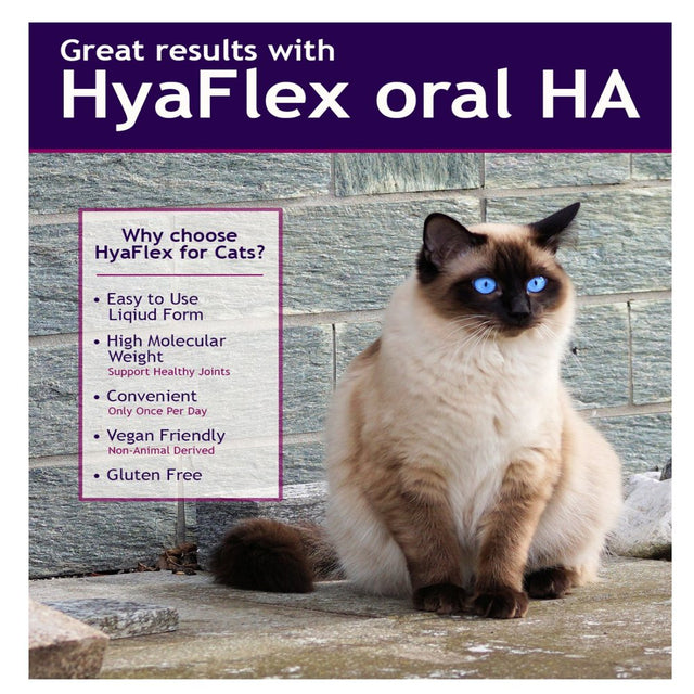 Hyaflex for Cats by Hyalogic - 1 Ounce