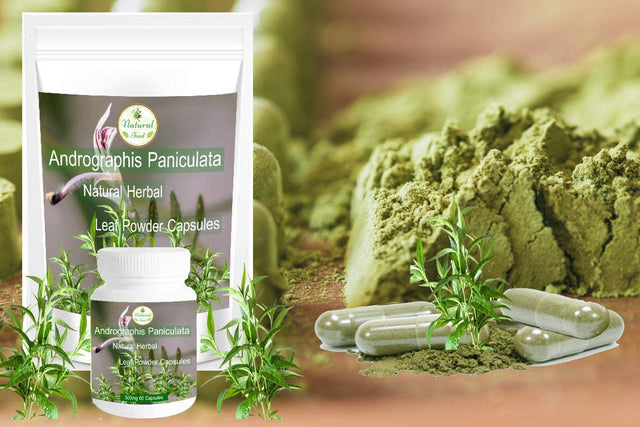 200 Capsules 500Mg Save_Price Andrographis Paniculata King of Bitters Kalmegh Leaf Powder Natural Herbal