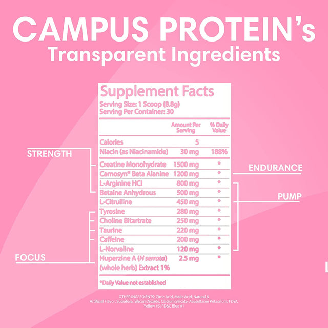 Campus Protein Fuel - Pre Workout Powder for Men and Women, Sour Watermelon Wedges Flavor, Low-Calorie and Sugar-Free Pre Workout Mix with Creatine Monohydrate, Supports Energy and Focus