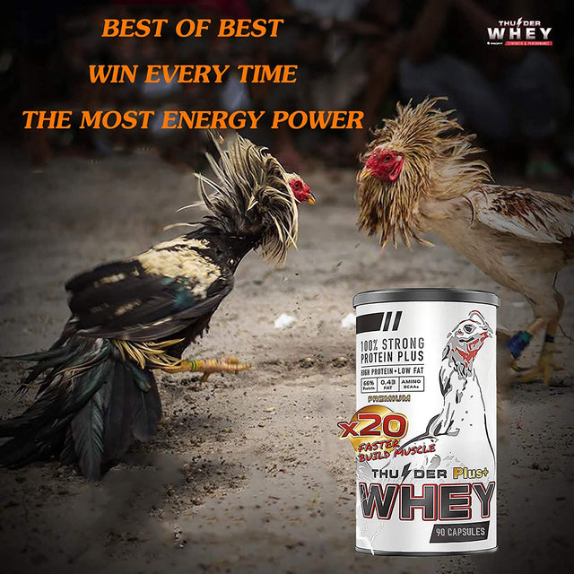 Rooster Booster Faster X3 New Formula 90 Capsules Whey Protein Vitamins HEALTH SUPPLEMENT CAPSULES Mixed Nourishing Fighting Chicken for Big Muscle & Mass Gain, Breeding, Healthy, Strong, Hen Feed