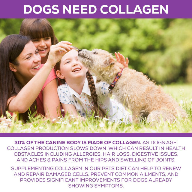 100% Collagen Protein for Dogs | Hip & Joint | Allergy Relief | Digestive Aid | Overall Health | 1 Lb 10 Oz