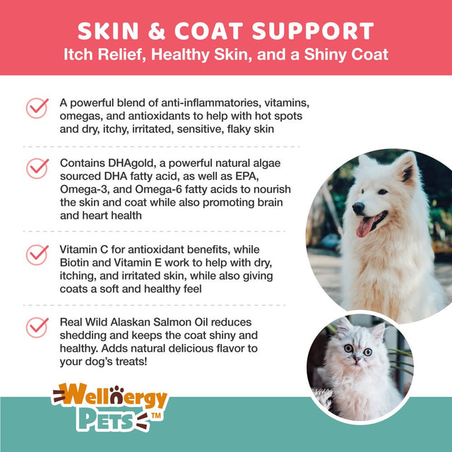 Skin and Coat Allergy Supplement Soft Chews for Dogs – Omega 3, Fish Oil - Hot Spots, Dry, Itchy Skin 60 Ct.