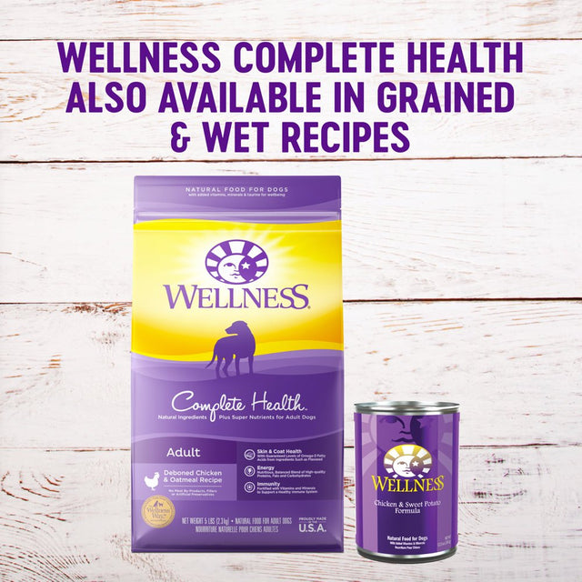 Wellness Complete Health Natural Grain Free Dry Dog Food, Chicken, 24-Pound Bag