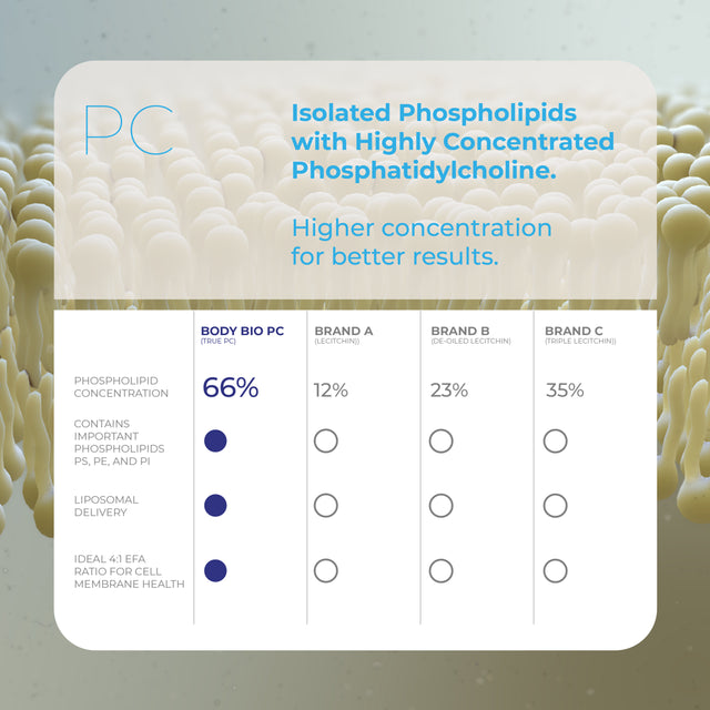 Bodybio - PC Brain Supplement 300 Phosphatidylcholine Softgels