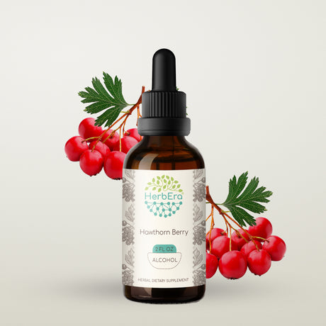 Hawthorn Berry Alcohol Herbal Extract Tincture, Super-Concentrated Organic (Crataegus Spp.) Dried Berry 2 Oz