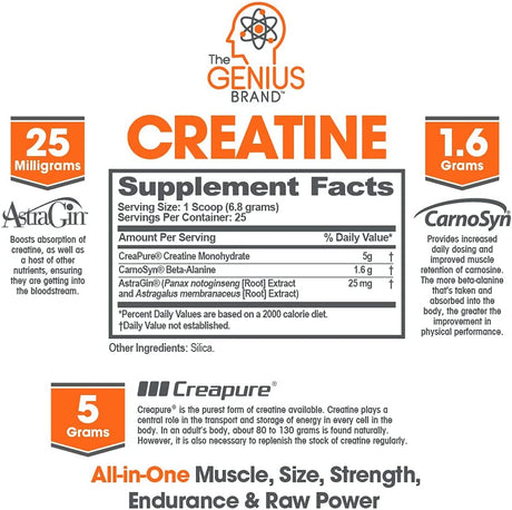 Genius Micronized Creatine Monohydrate Powder, Post Workout Supplement, Unflavored - 100% Naturally Flavored & Sweetened - Supports Muscle Building, Cellular Energy & Cognitive Function – 170G