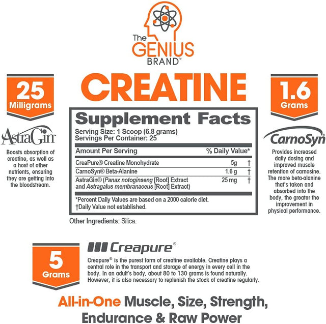 Genius Micronized Creatine Monohydrate Powder, Post Workout Supplement, Unflavored - 100% Naturally Flavored & Sweetened - Supports Muscle Building, Cellular Energy & Cognitive Function – 170G