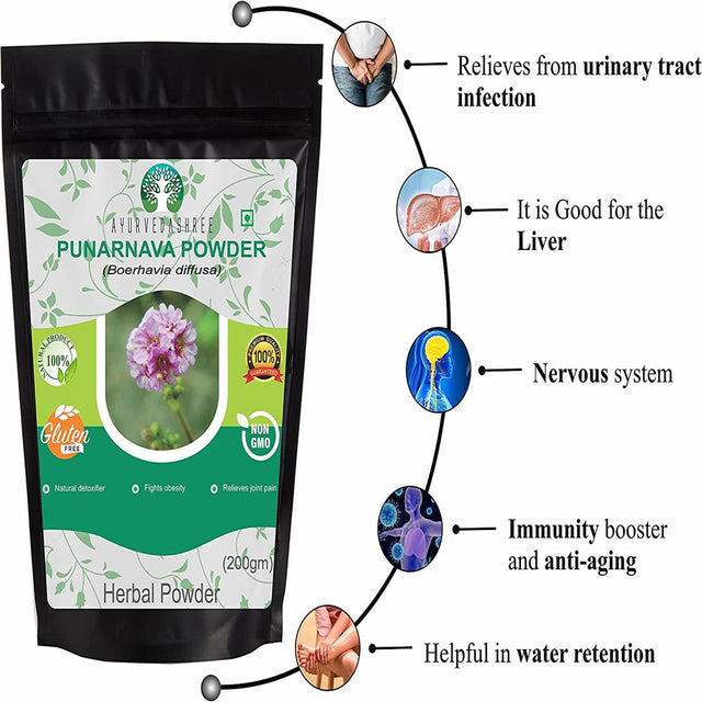 AYURVEDASHREE Punarnava Powder 200 Gm- Boerhavia Diffusa - Supports Weight Management, Kidney, Liver and More, Non GMO, Vegan, Gluten Free