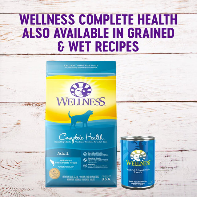 Wellness Complete Health Natural Grain Free Dry Dog Food, Whitefish, 24-Pound Bag