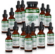 Nutramedix Cowden Support Program Month 4 - Bioavailable Herbal Detox Protocol Including Banderol, Burbur-Pinella, Samento Cat'S Claw Tincture & More - Detox & Immune Support (14 Piece Set)