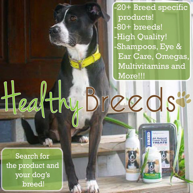 Healthy Breeds Synovial-3 Dog Hip and Joint Supplement for Vizsla, Glucosamine Omega 3 Vitamin C & E Support, 240 Soft Chew Treats