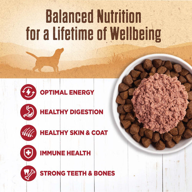 Wellness 95% Beef Natural Wet Grain Free Canned Dog Food, 13.2-Ounce Can (Pack of 12)