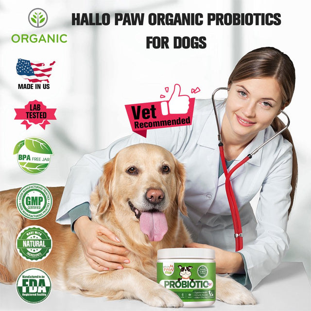 Hallo Paw Probiotic Chews for Dogs/Puppies 120 Yeast Chews-Daily Probiotics for Dogs Gut, Digestive, Skin Health, Allergy