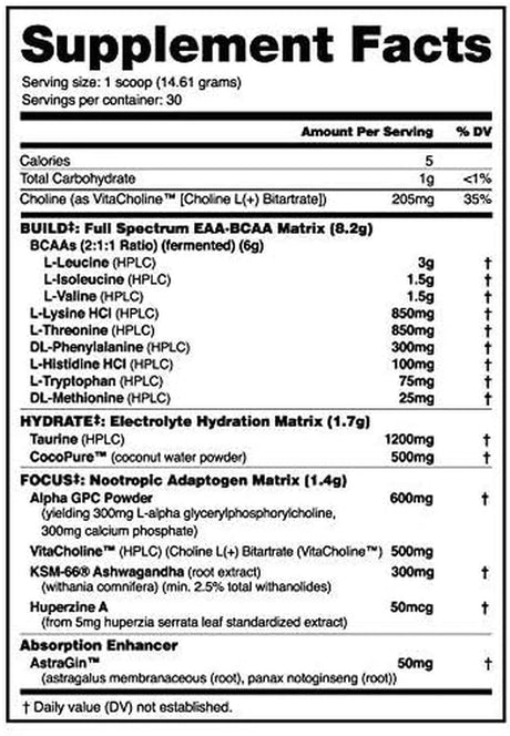 Nutrabio Alpha EAA Hydration and Recovery Supplement - Full Spectrum EAA BCAA Matrix with Electrolytes, Nootropics, Coconut Water - Recovery, Energy, Focus, and Hydration Supplement - New York Punch